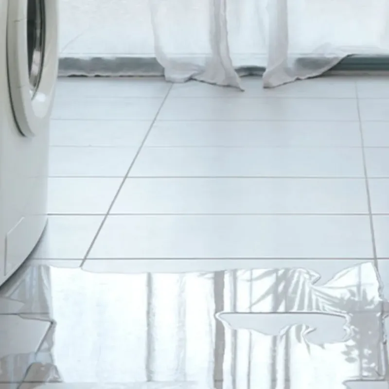 Appliance Leak Cleanup in Altoona, IA